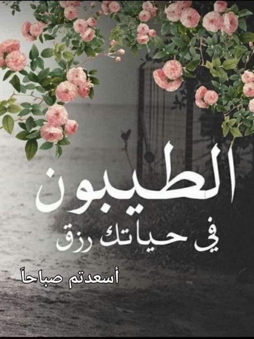 amode4444422's tweet photo. #الحياة رواية جميلة عليك قراءتها 
حتى النهاية 
لاتتوقف أبدا عند سطر حزين 
           ❤️قد تكون النهاية جميلة. https://t.co/bK7WdGwrjc