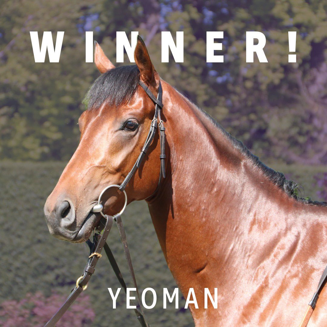 ownersgroupuk's tweet photo. Yeoman gets off the mark @WolvesRaces for @james_fanshawe @rowan_49 and his https://t.co/v0Lrl3HMFP owners - well done to all and to @eliteracingclub broodmare, Harmonica, who has bred her first winner 👏🏻 🏆 #yeoman #ownersgroup https://t.co/yudK0s3k6e