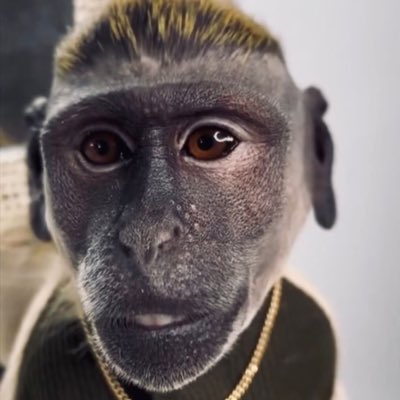 LarbeleeJerome's tweet photo. #NewProfilePic https://t.co/0a7pXpYLSK