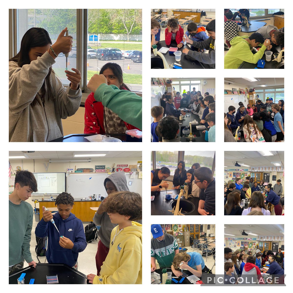 mrvscience217's tweet photo. Are they filming CSI:Elwood.. No. it’s just the Cold Spring Harbor DNA lab teaching our 7th grade about DNA fingerprinting and gel electrophoresis.. what an awesome day @Elwood_Super @ElwoodMiddle @Mrsbilello_j @jharri111 @MrsDValle https://t.co/zLNRJrD7GV