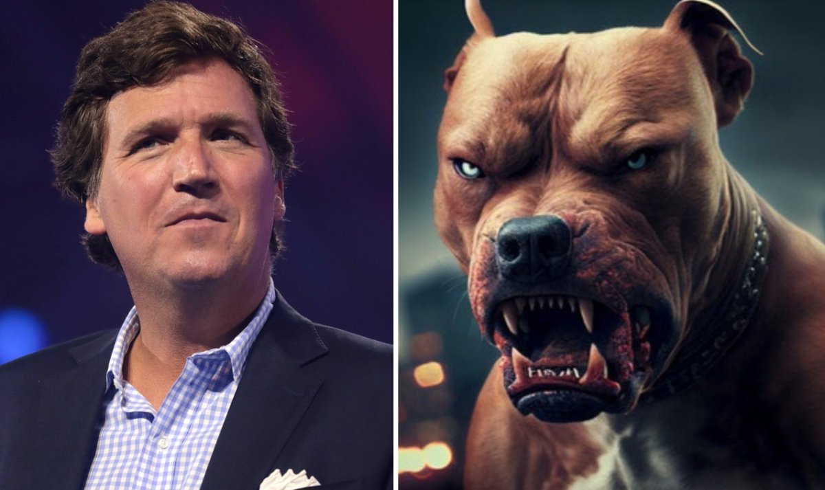 Dems are so stupid u think u won, u didnt win anything u just lost huge ur just too stupid to understand what just happened ur screaming We won we won Tuckers gone hes not gone hes still around the difference is you unchained him you've freed the pitbull &amp; you're in his yard now