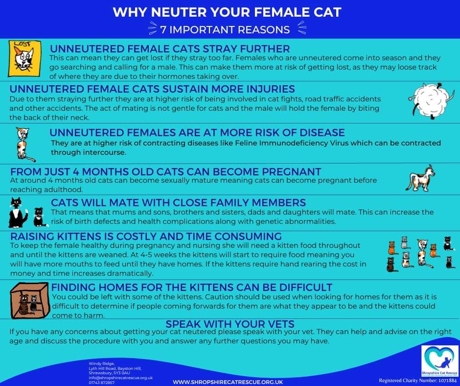 ShropsCatRescue's tweet photo. @CandyTibby @CatsProtection @domdyer70 @StrayCatsWM @BhFeral @ChrisGPackham @ChesterKittyCat @FnFWythall @WrexhamHour @Number10cat @joerob_leader We have these leaflets https://t.co/1RmyQXbZeZ
