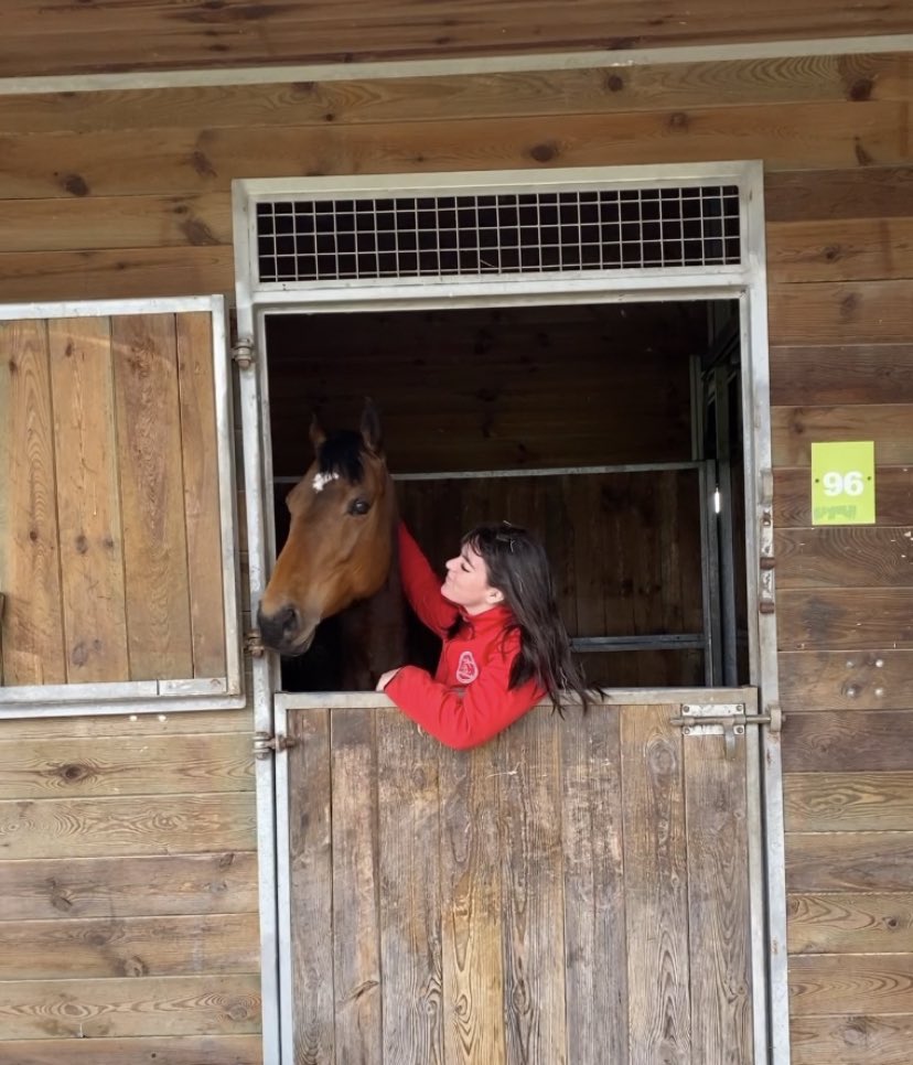 this_is_camcam's tweet photo. Pôle du cheval et de l’âne, Lignières.
•
2 Avril 2023.
•
#HANTIX #angloarabe #cso https://t.co/JvtVM0ZD3W