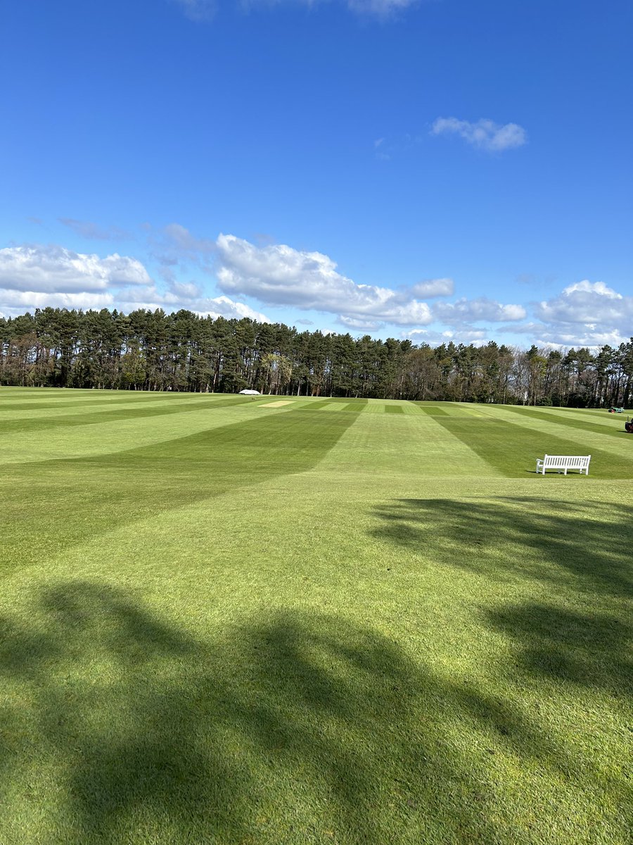 Merchiston Grounds tweet media