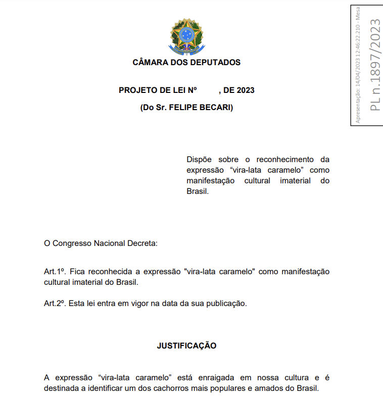 AndreHouang's tweet photo. Estudar política no Brasil tem seus pontos positivos https://t.co/iKfqP2gE08