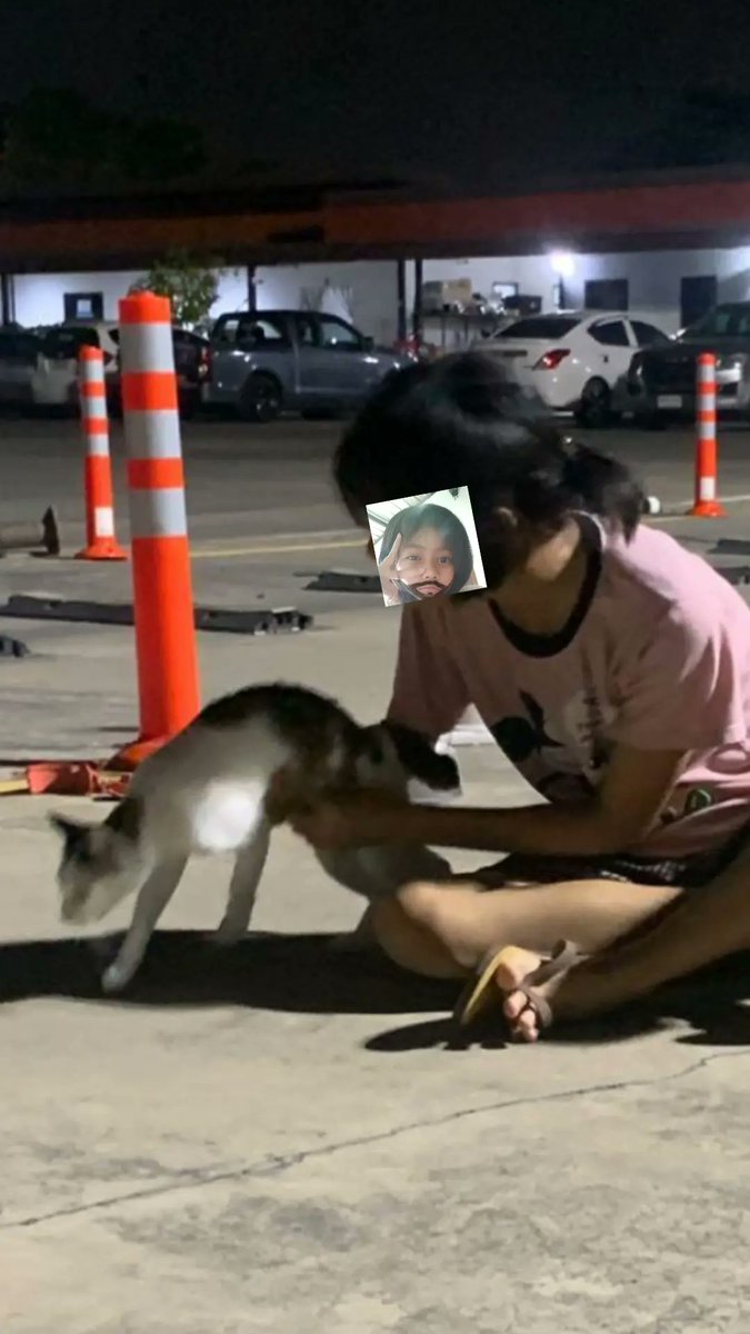 พวกไม่มีแมวไม่เข้าใจฟามรุ้สึกหรอก