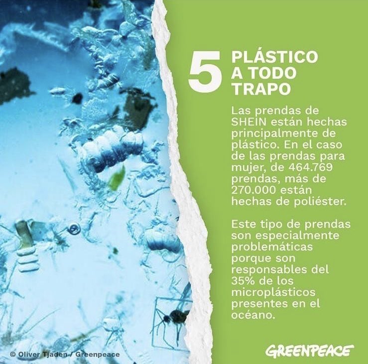 arnauainsa's tweet photo. @carlaabp_ Lo peor literalmente... 
Shein: https://t.co/5d2dU3n0jF