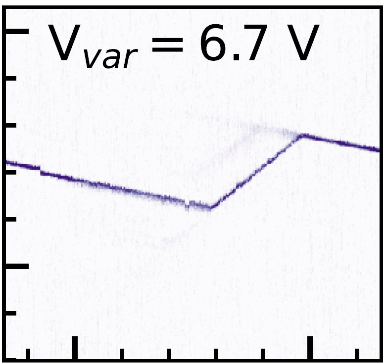Dominik Zumbuhl tweet media