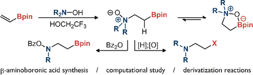 Boron_Chemistry's tweet photo. Cope-Type Hydroamination of Vinylboronates (@JOC_OL): https://t.co/6KomLaCVeT. https://t.co/kq5MaMrNFB
