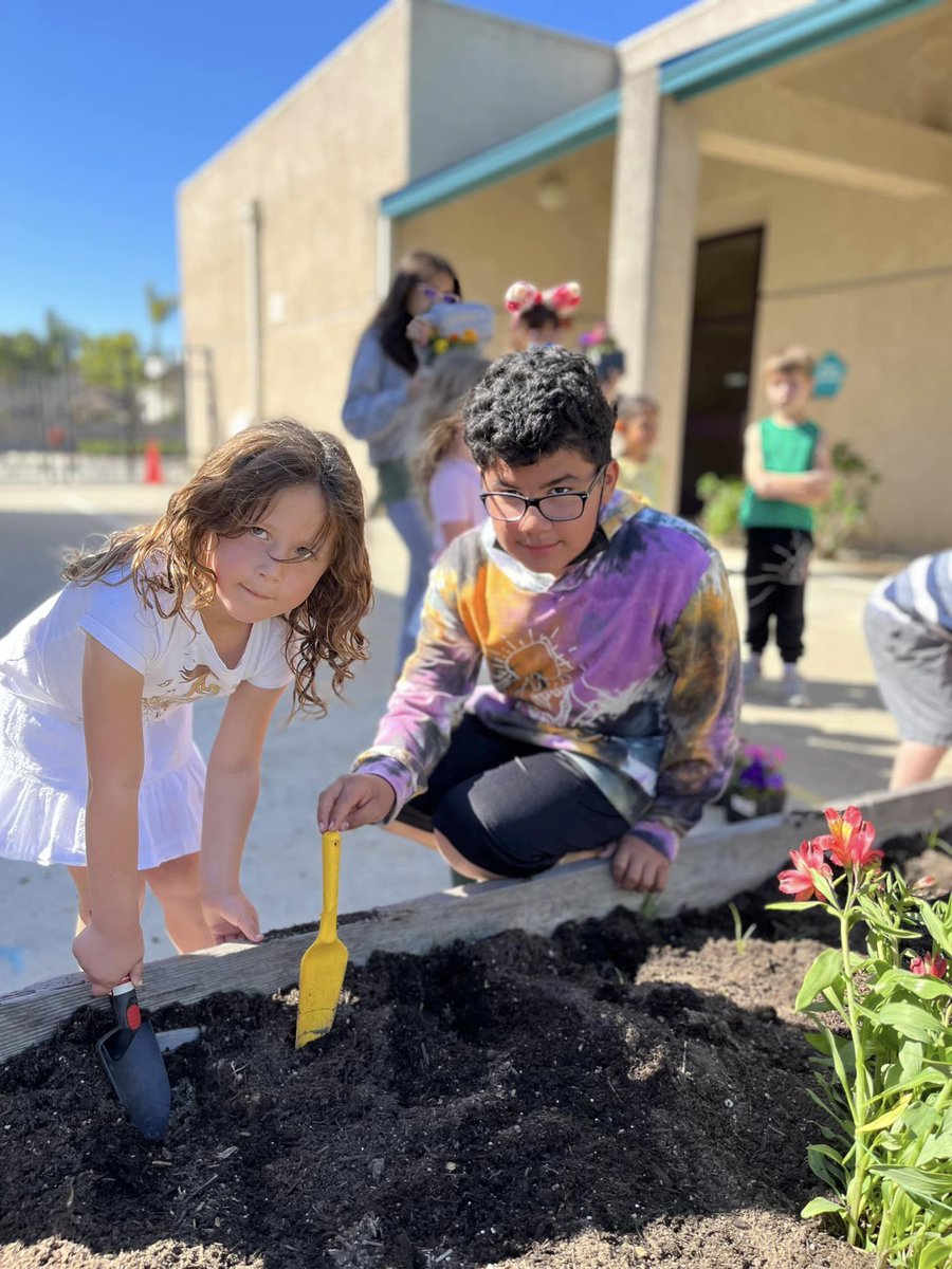 PVSDCamarillo's tweet photo. La Mariposa students celebrated Earth Day by refreshing their planter boxes. 🌏🌱 The project was led by Mrs. Sadowsky, whose grant award made it possible! #PVproud
#PVSD #Camarillo https://t.co/r30Ovgw9F8