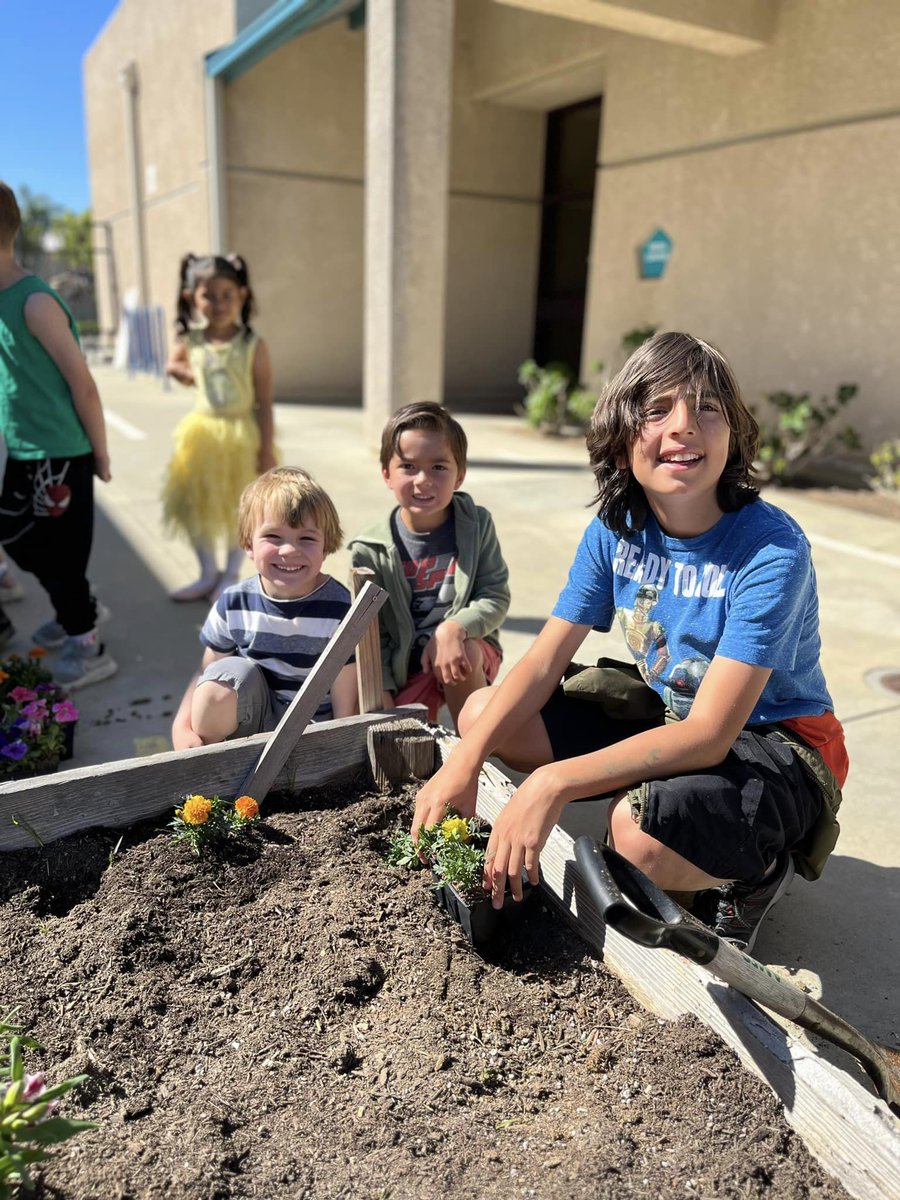 PVSDCamarillo's tweet photo. La Mariposa students celebrated Earth Day by refreshing their planter boxes. 🌏🌱 The project was led by Mrs. Sadowsky, whose grant award made it possible! #PVproud
#PVSD #Camarillo https://t.co/r30Ovgw9F8