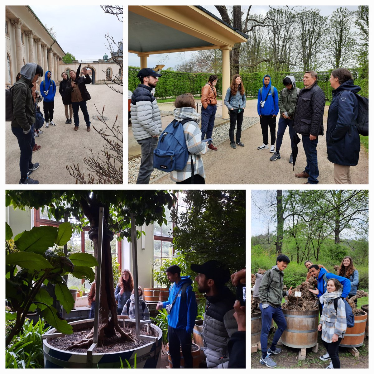 Heineken_eV's tweet photo. #TagdesBaumes
Heute besuchte Stefan Hohmann mit den jungen Menschen der Internationalen #Jugendbauhütte #Gartendenkmalpflege in Altdöbern Dresden. Die #Heineken-Gesellschaft war am umfangreichen Programm beteiligt: ...
#IJGD #Altdöbern #Dresden #Pillnitz #Sachsen https://t.co/uHGfd4FfPo