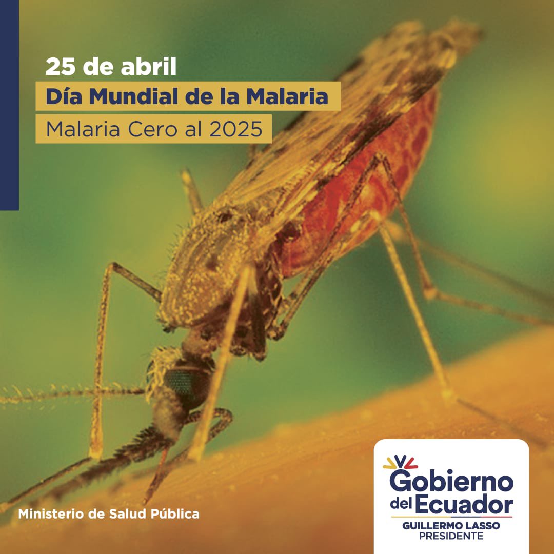 Ministerio De Salud Pública On Twitter Cruzadaporlasalud Conoce Ministerio De Salud Pública On Twitter Cruzadaporlasalud Conoce