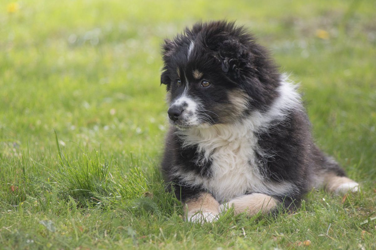 Phot_Aurelien tweet media