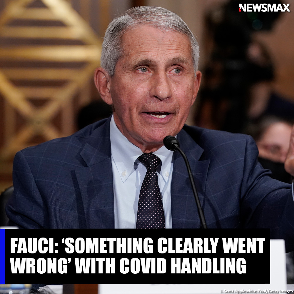 NEWSMAX tweet media