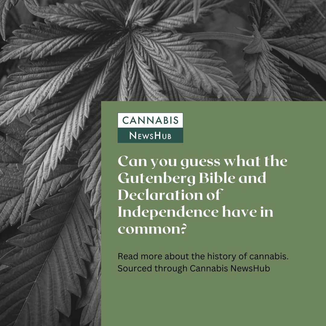 cannabisnewshub's tweet photo. What could it be? 
Read more and find out!
https://t.co/5ByIFm90WE
.
.
.
#cannabisbusiness #cannabiscommunity
#cannabisdiscussions #cannabisnewshub https://t.co/s0KOjDQ8eh
