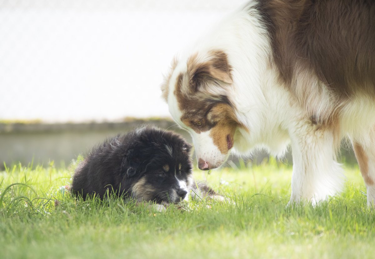 Phot_Aurelien tweet media