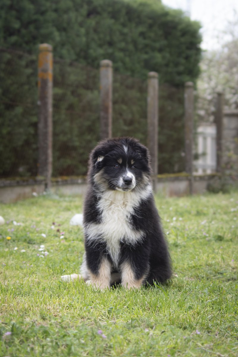 Phot_Aurelien tweet media