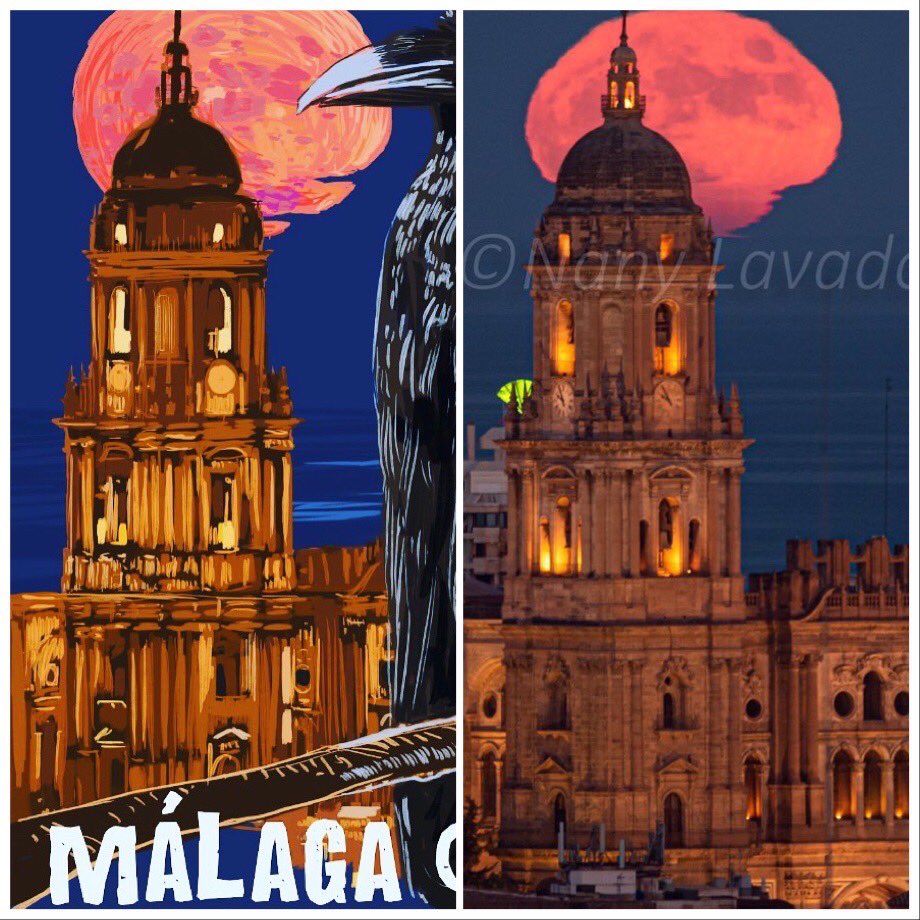 Lechuza inquieta (Nany Lavado) tweet media