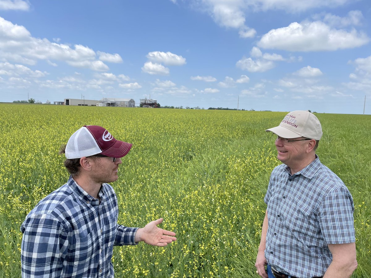 Rick Avery tweet media