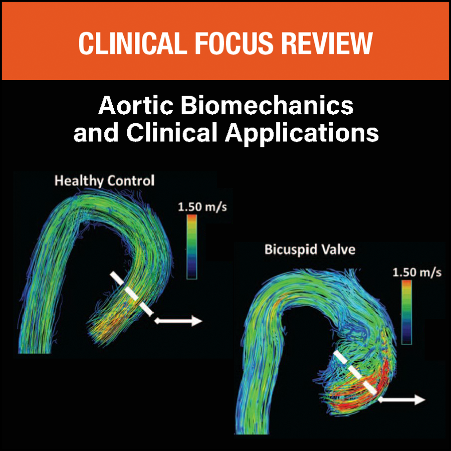 The #aorta contributes to cardiovascular physiology and function. Understanding biomechanics in health, disease, and after aortic interventions will facilitate optimization of perioperative patient care: ow.ly/4CzN50NQPia
