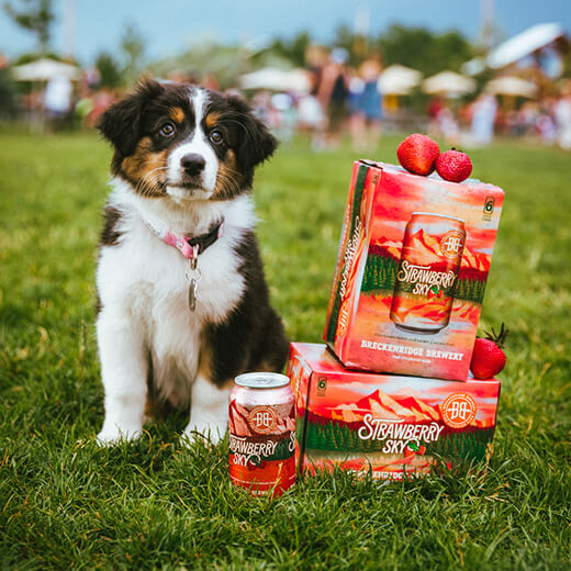 Sweet strawberry notes set behind Huell Melon hops to create shining complexity that bursts with fresh fruit flavors of strawberry, and honeydew.