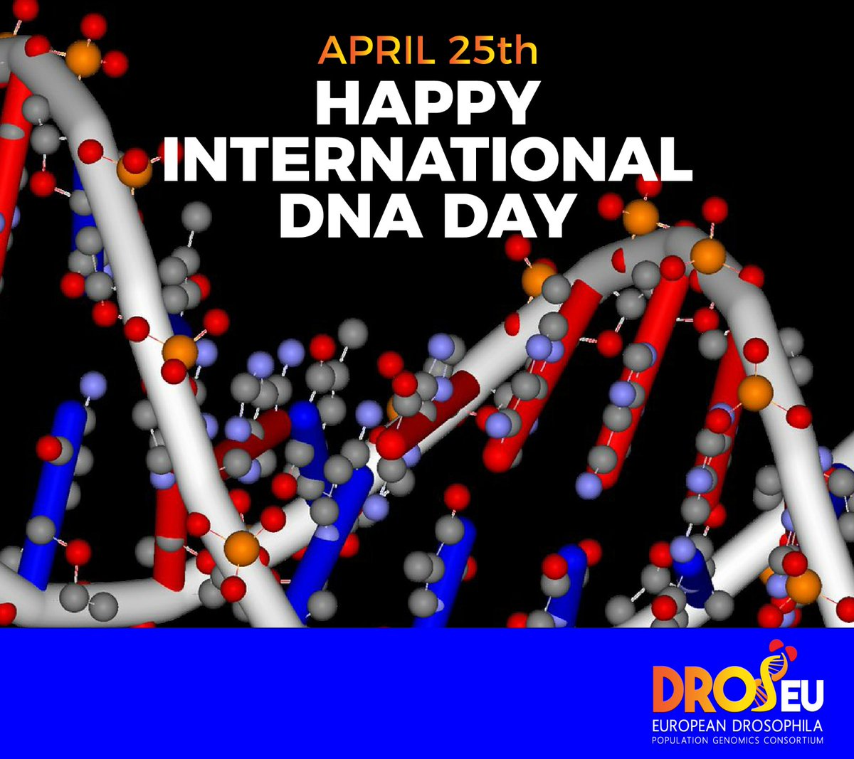 Happy #DNADay! Stay tuned for the 13th <a href="/Dros_EU/">DrosEU</a> meeting organized by Bas Zwaan and Joost van den Heuvel in Wageningen <a href="/WUR/">Wageningen U&R</a> on the 8th and 9th of May!