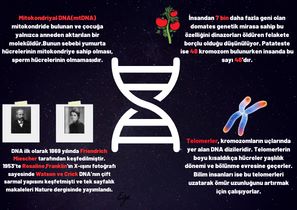 EtaSoke's tweet photo. 25 Nisan Dünya DNA günü...Bizim günümüz 🤗
@soke_doga 
@DogaKolejiSoke 
@DogaOkullari 
@KilicozMuhammet 
@selcuk_haspolat https://t.co/V7SYiXSm9G