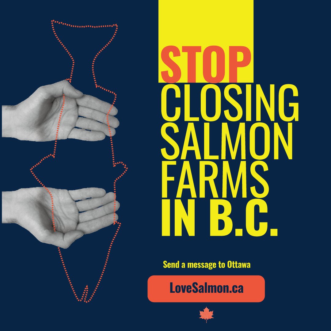 Canadian #salmon farmers feed Canadian families.

Governments have shut down 40% of salmon farms in B.C. since 2020, making groceries more expensive &amp; wiping out jobs.

Take one minute to send a message now. Tell Ottawa: Stop closing B.C. salmon farms!

app.goadvocate.ca/en/campaigns/s…