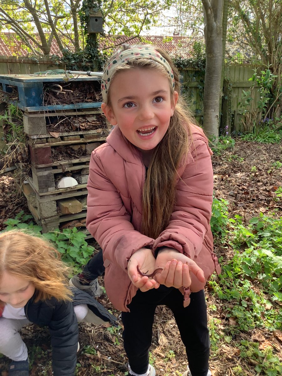 Brandesburton Primary tweet media