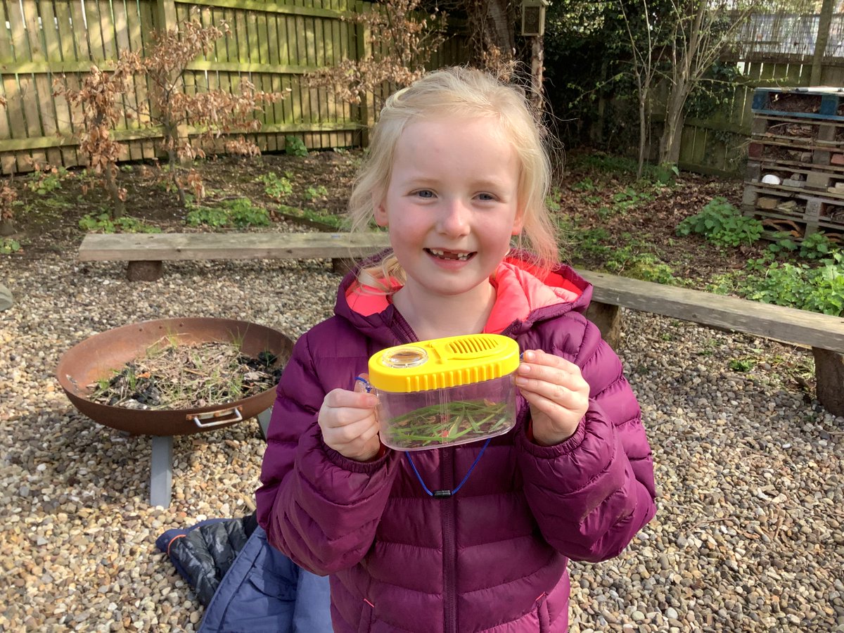 Brandesburton Primary tweet media