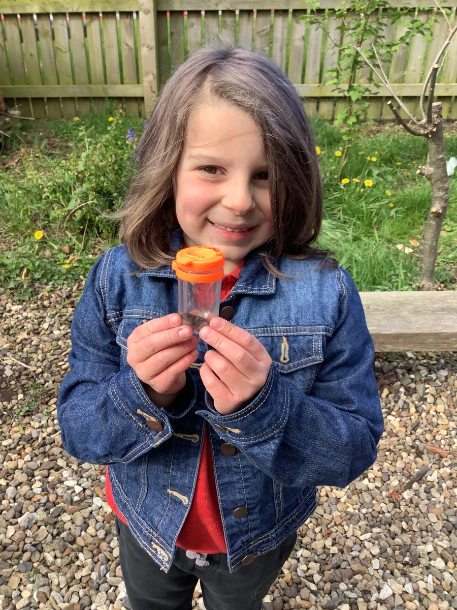 Brandesburton Primary tweet media