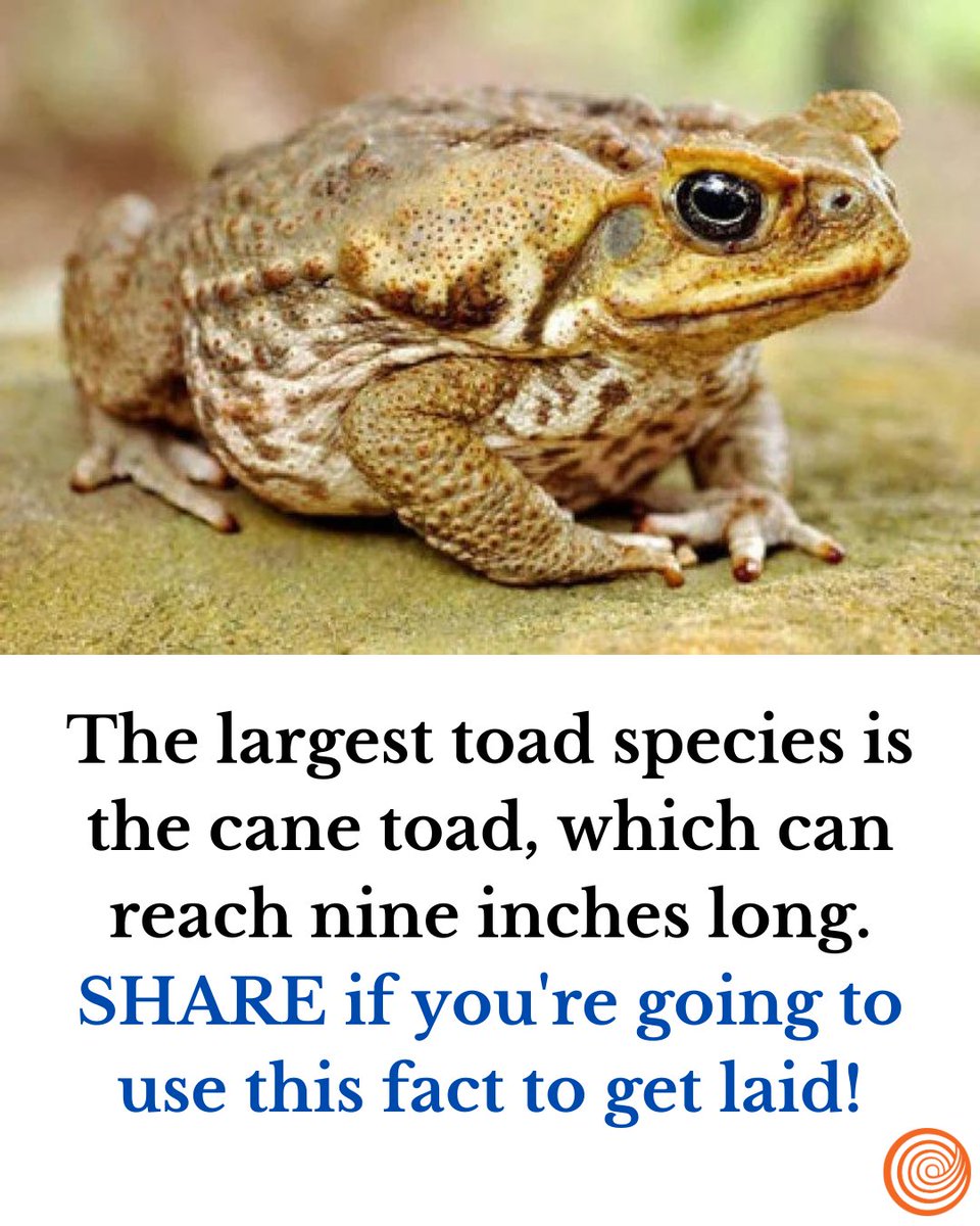 ClickHole's tweet photo. https://t.co/GLUBBTkdfD