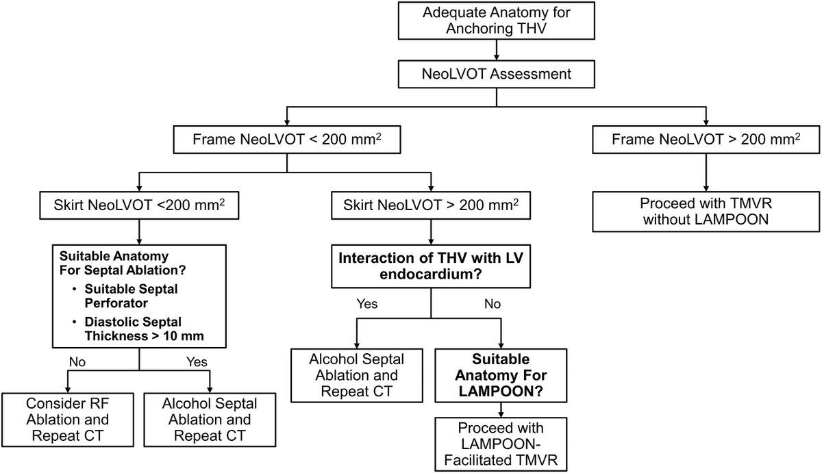 New issue of #JACCINT is out! Looking to ⬇️ risk of #LVOT obstruction during #TMVR? Check out this #JACCINT state-of-the-art #review introducing an algorithm highlighting septal reduction strategies: bit.ly/3oCtetH #CardioTwitter @Eleidmack @PaulMahoneyMD @EricWillMD