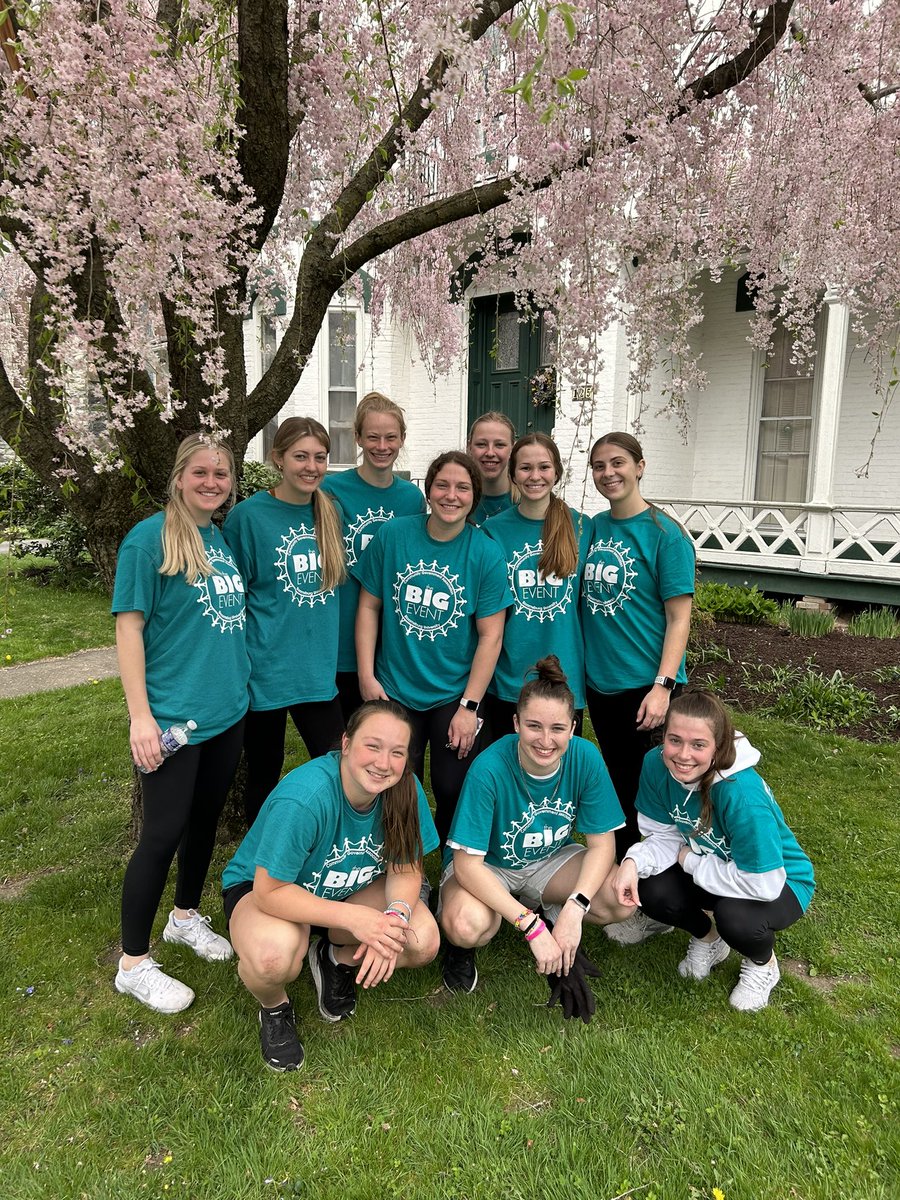 Bloom Basketball tweet media