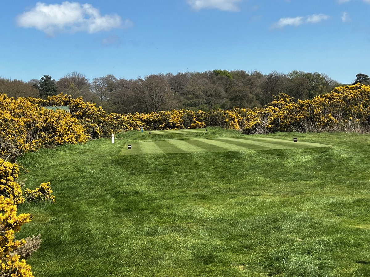 trickgolfshow's tweet image. Pure quality congratulations @Team_Ganton on the excellent work carried out over the winter @GantonGC is looking terrific @YUGCUK @NCG_com  @YORKSHIREGOLFER