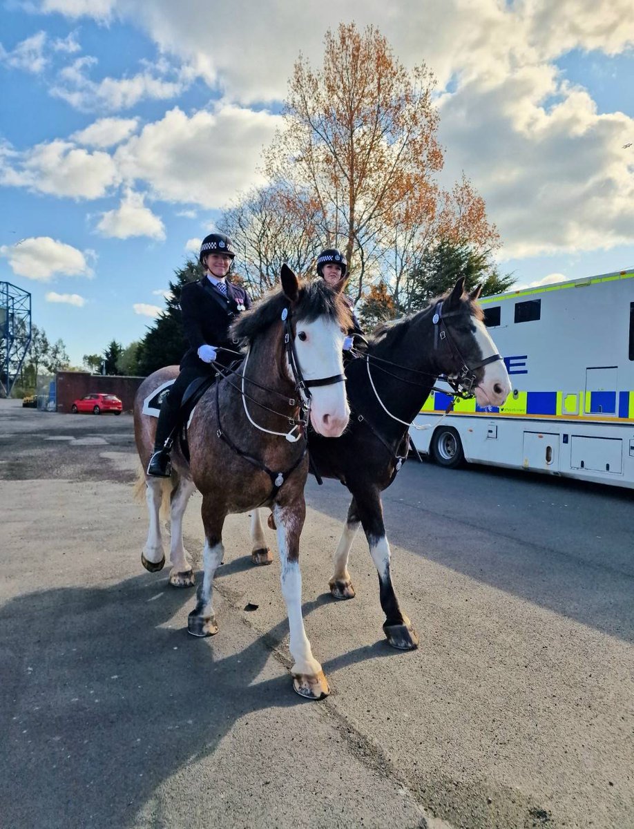 PSOSHorses's tweet photo. PH's Abercorn and Cupar putting their best hooves forward en route to a ceremonial event in Kilmarnock today.
#lookingsmart
#shinyshoes https://t.co/BlFHFWEd3S