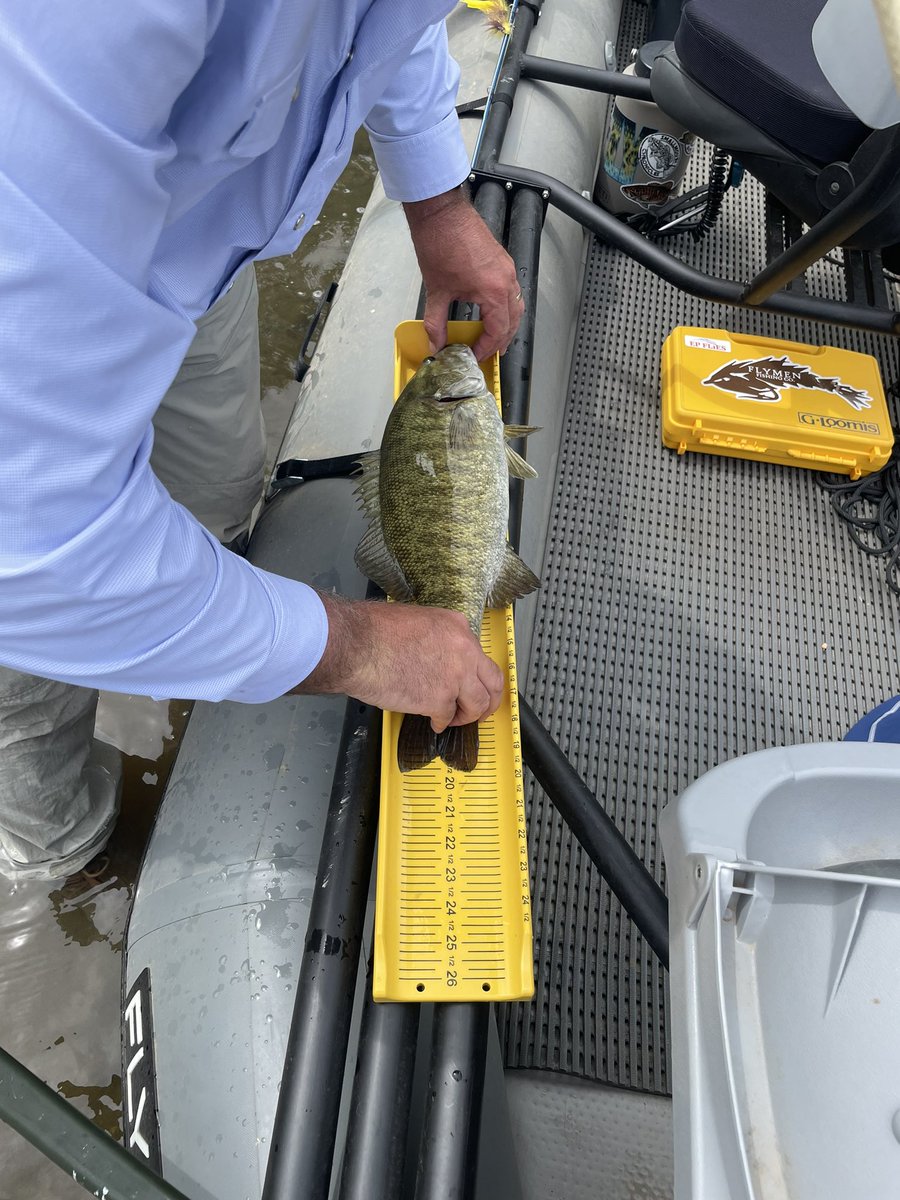 Another Epic day on an Ozark stream with #fogwateroutdoors. God is great! #Templeforkoutfitters #cortlandlines #flycraft #smallmouthchronicles #N2outdoors #Ozarksonthefly #fishpondusa