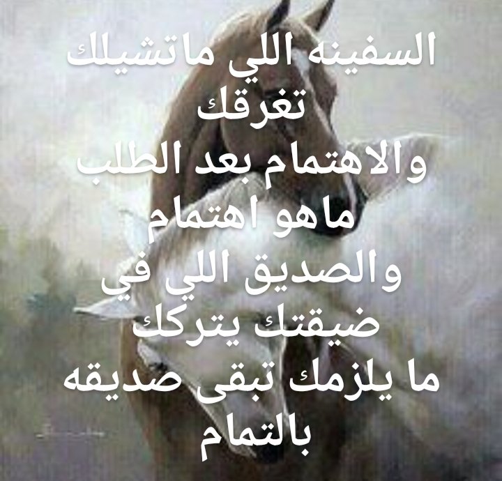amode4444422's tweet photo. https://t.co/dsNRPYp7kW