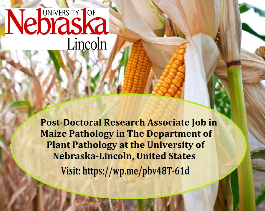 Agristok on Twitter "📌 PostDoctoral Research Associate Job in Maize