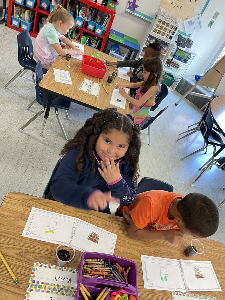 Sarah Tyson tweet media