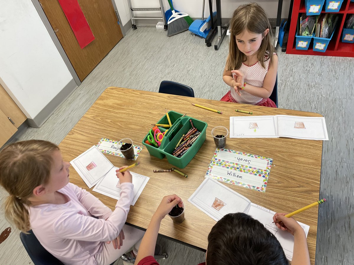 Sarah Tyson tweet media