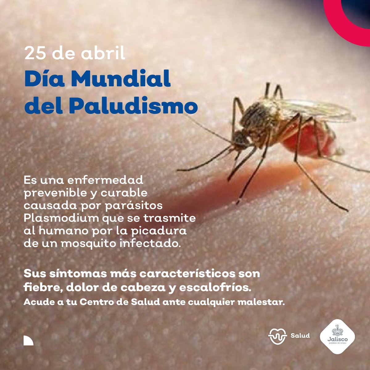 FPetersenA's tweet photo. Al celebrar el #DiaMundialDelPaludismo nos enorgullece compartir que #Jalisco ha logrado controlar esta enfermedad. No se presenta ningún caso autóctono desde 2014, gracias al esfuerzo sostenido del área de Vectores. Sin embargo, la enfermedad está presente en varios países.
1/2 https://t.co/rXxS0RIHft
