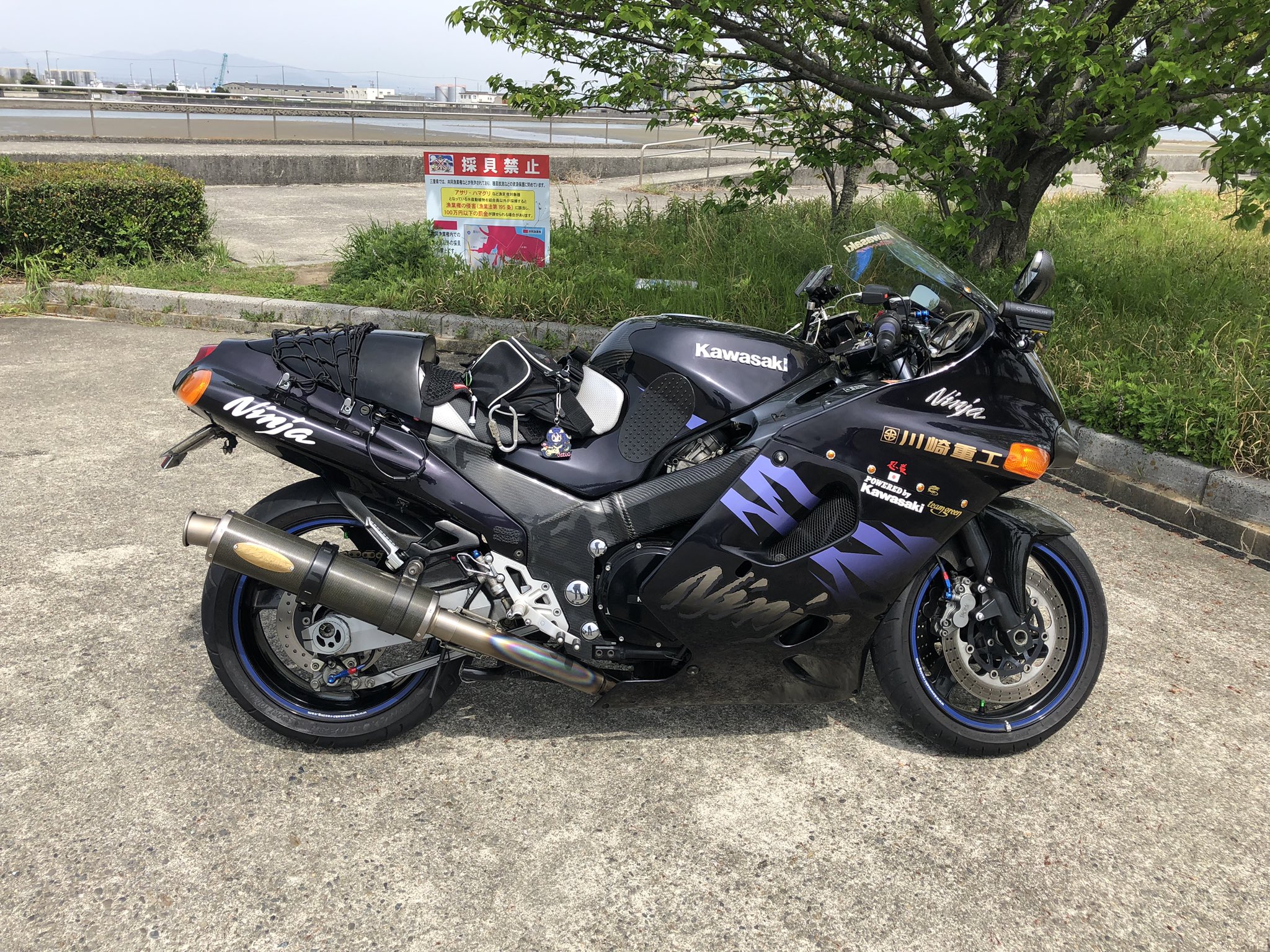 zx11 - Search / X