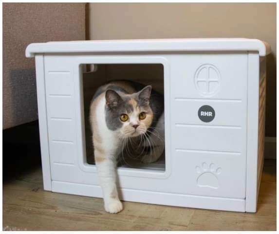 Dierenstee's tweet photo. Wij zamelen geld in voor nieuwe kattenhuisjes!  https://t.co/tmwTTtVyqp https://t.co/eqvlNnVh7Z