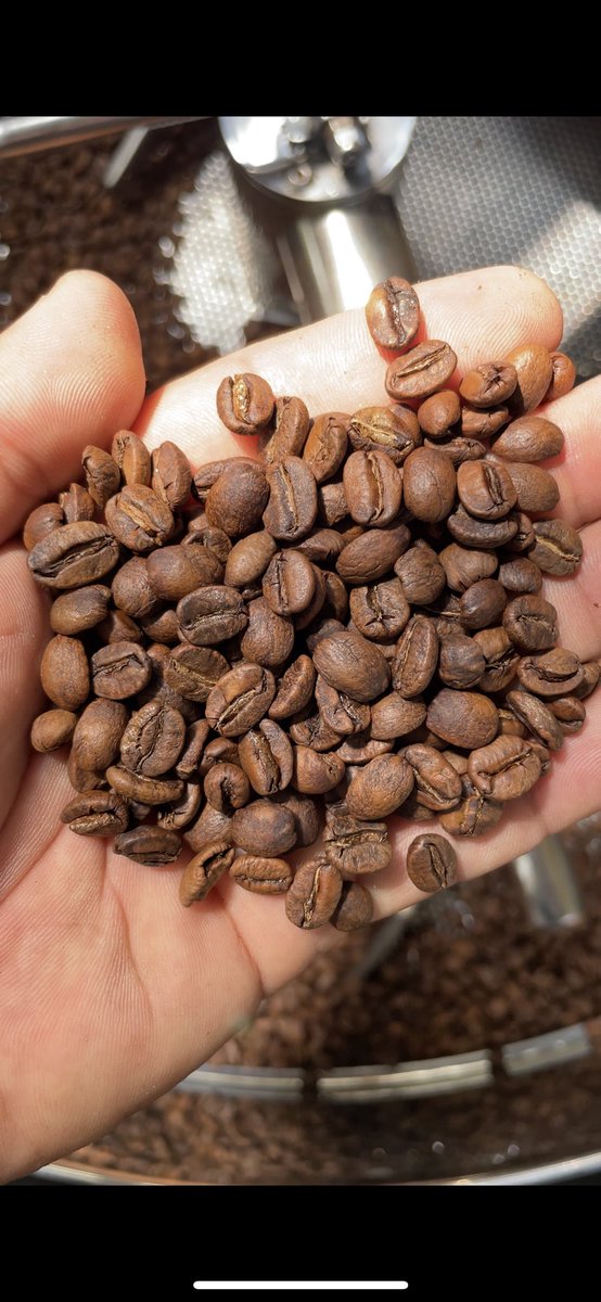 CafePranay's tweet photo. Cafe de especialidad mexicano 
.
Link de tienda en línea en bio 
.
#cafe #cafedeespecialidad #cafepranay #coffee https://t.co/o9wXLqYHoU