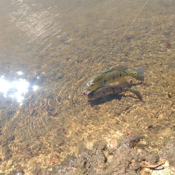 jufishing's tweet photo. https://t.co/zP1z7VwwLK