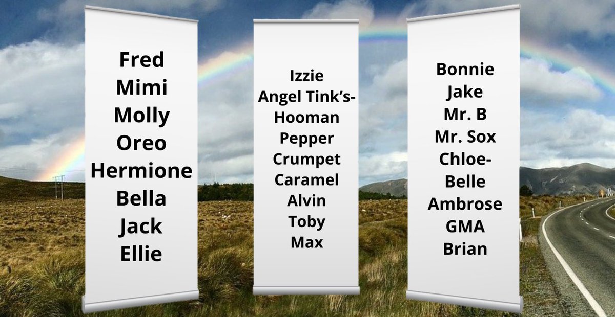 #TributeRide