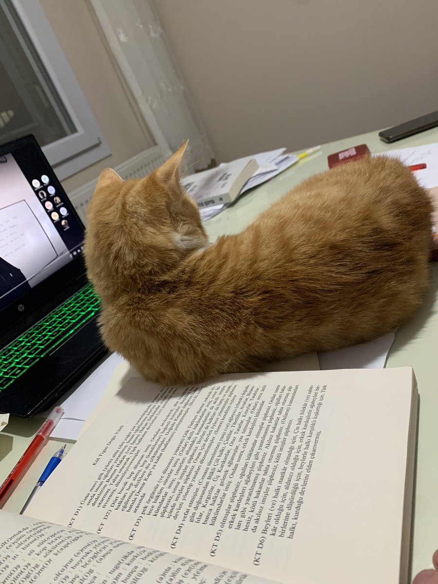 Leyla’da dershaneye gidiyor
Baya hırslı hazırlanıyor