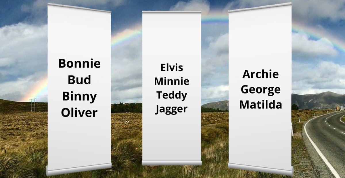 #TributeRide
